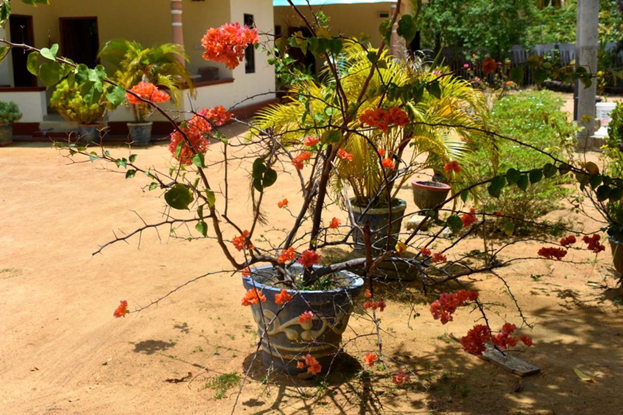 Yaswi Guest House Passikudah Εξωτερικό φωτογραφία